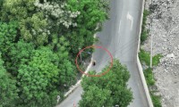 杭州女子取12万元现金独自进入山林，悄悄塞入路边树丛，警方无人机全程追踪定位，第一时间抓获取钱嫌疑人