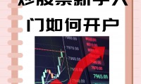 证券公司要做什么(证券公司主要从事什么)