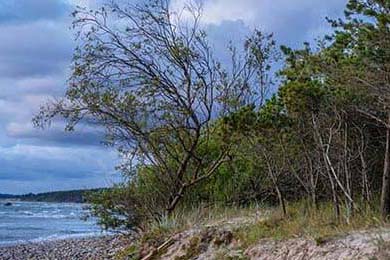 《爱格》停刊912天后宣布回归！网友直呼：我的青春又回来了