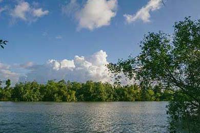 1楼老人找不到漏水点，挨个剪断楼上水管，致11户业主停水半个月：太自私了，整栋楼为她的霸道买单；老人：看谁来找我！最新进展