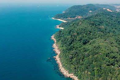 1楼老人找不到漏水点，挨个剪断楼上水管，致11户业主停水半个月：太自私了，整栋楼为她的霸道买单；老人：看谁来找我！最新进展