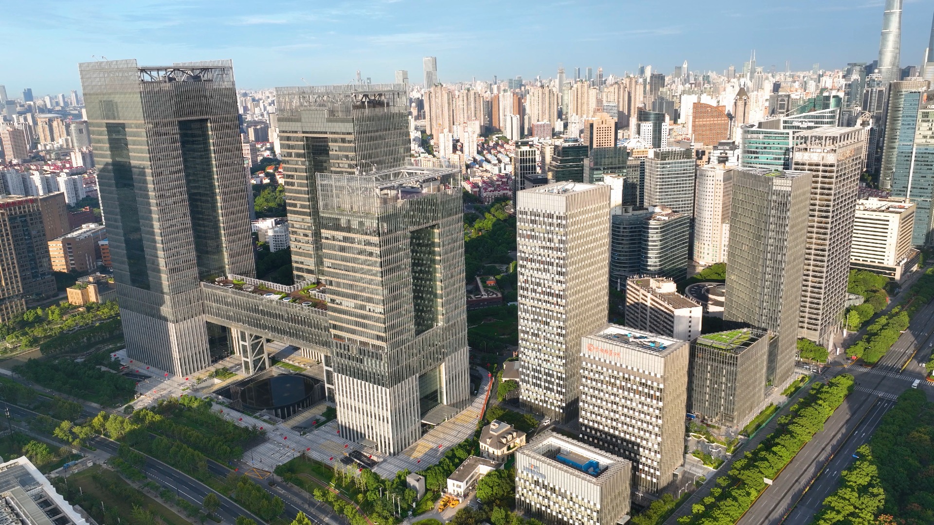 新证券公司(2020年新成立的证券公司)