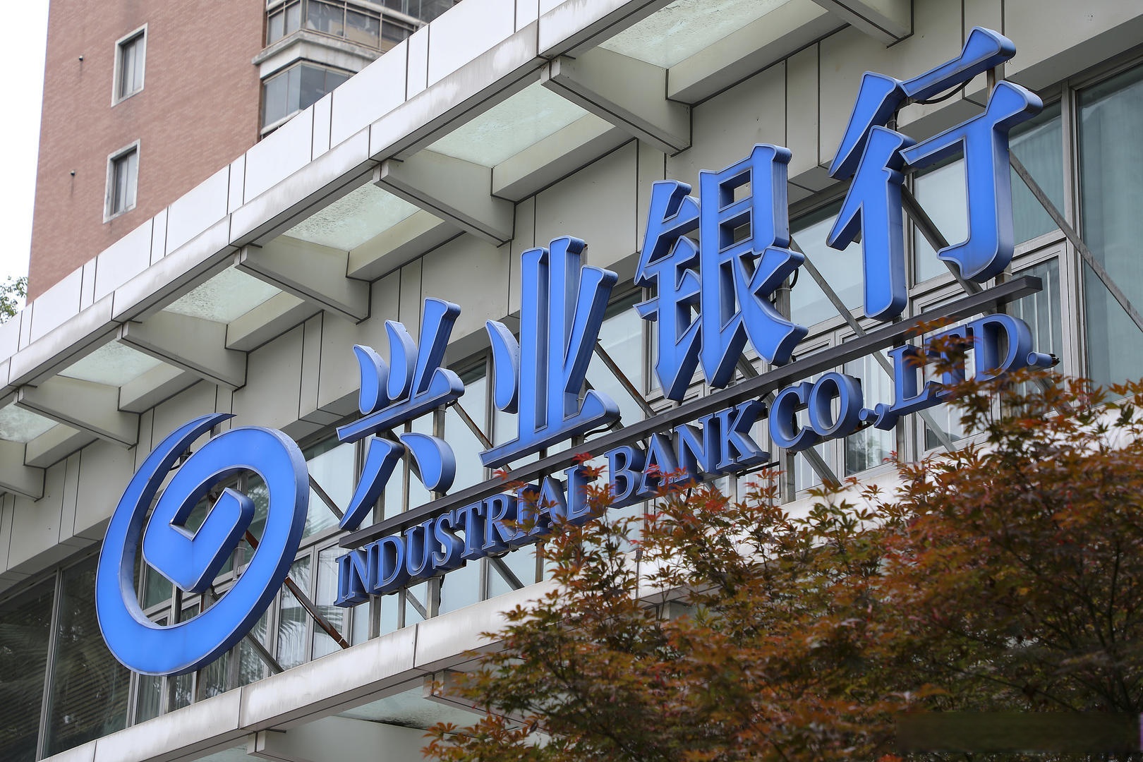 厦门兴业证券(厦门兴业证券赖婧琦)