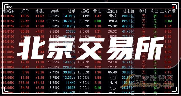 证券交易所网站(上海证券交易所网站)