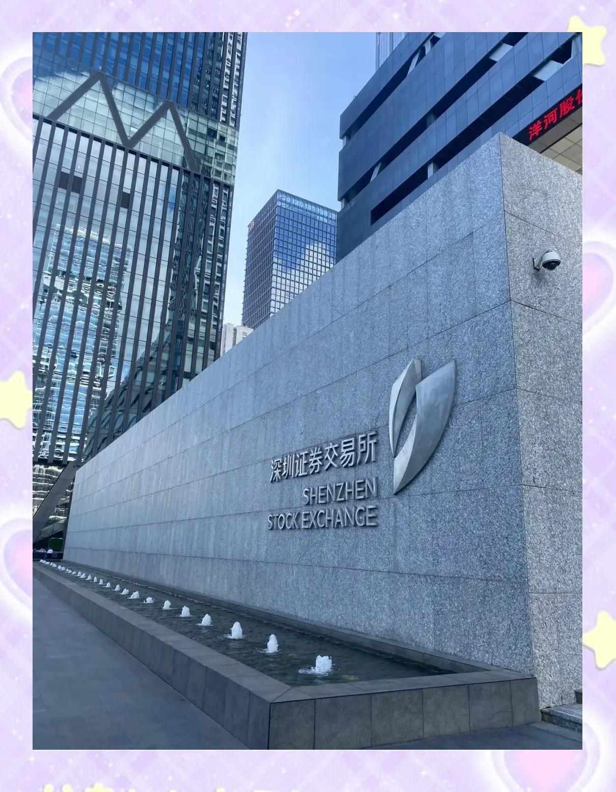 证券交易所网站(上海证券交易所网站)