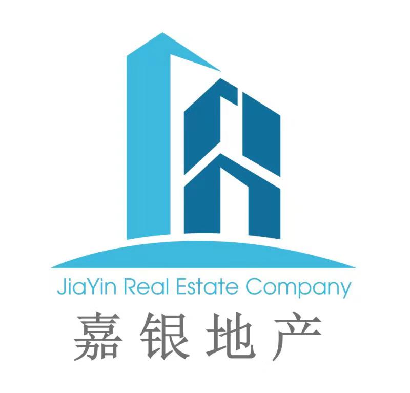 嘉银证券(嘉银金融是什么公司)