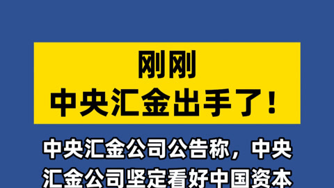 汇金证券(汇金证券股票)