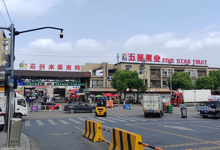 嘉兴证券(嘉兴证券公司有哪些)